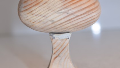 010940038A
