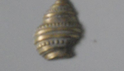 290880072A