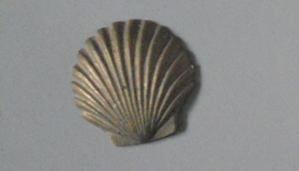 290880074A