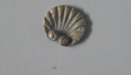 290880075A