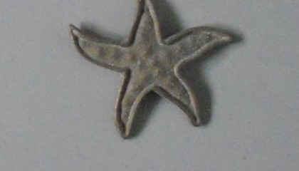 290880076A