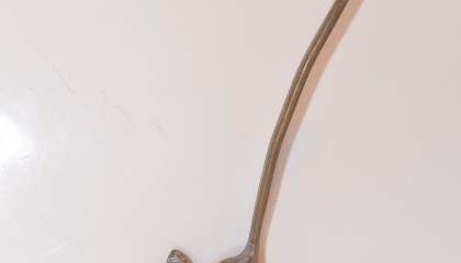 422010041A
