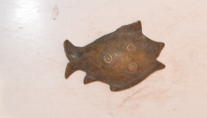 422010045A
